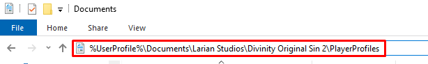 Divinity: Original Sin 2 save files path